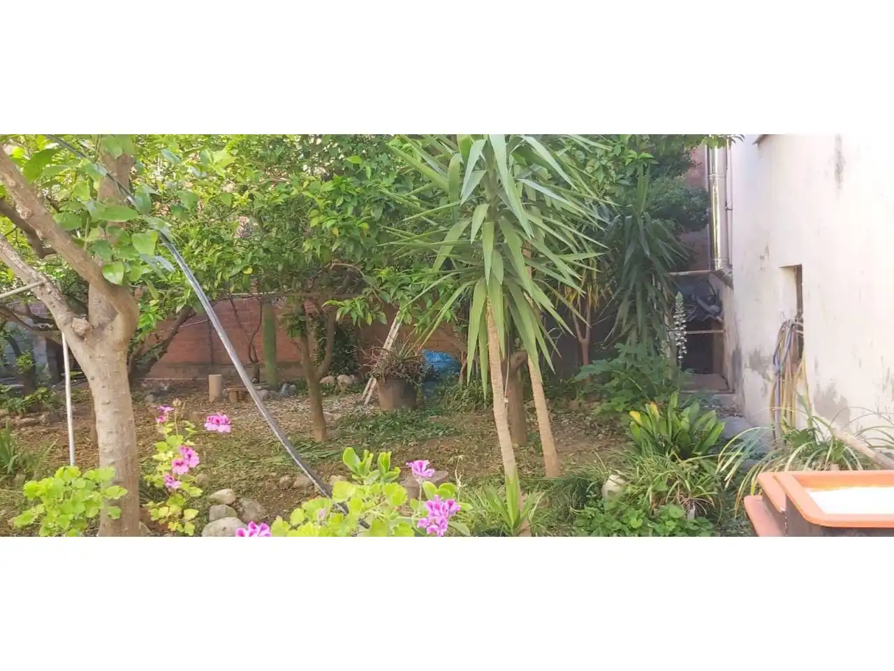 Jardí de Casa o xalet en venda en Alcover amb Jardí privat i Terrassa
