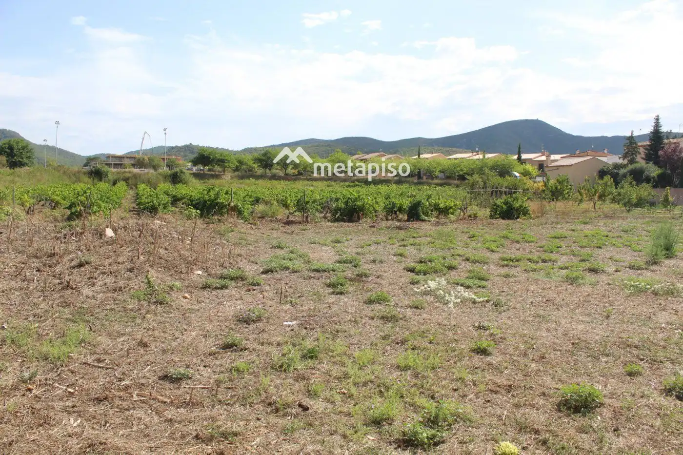 Terreny rústic en venda a esglesia de l', imagen 4