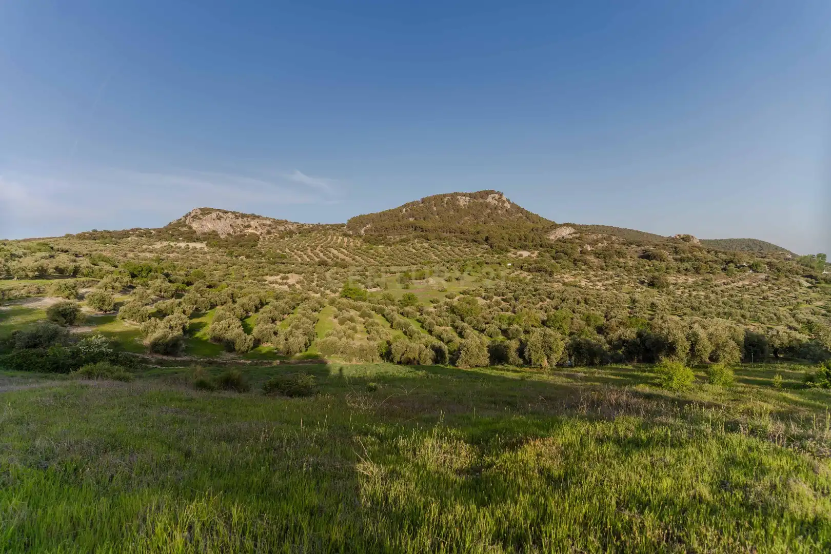 House with pool for sale in 18260 Íllora, Spain, imagen 3