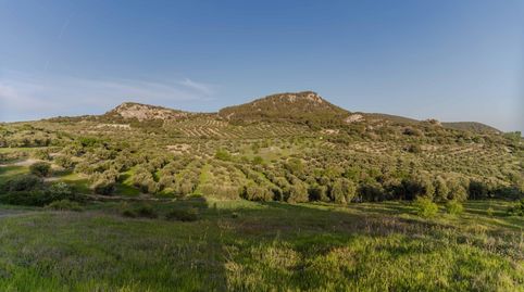 Foto 3 de Casa o chalet en venta en 18260 Íllora, Spain, -1, Íllora, Granada