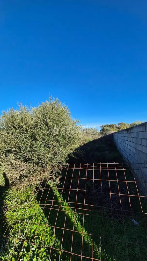 Rural land for sale in Conil, imagen 9