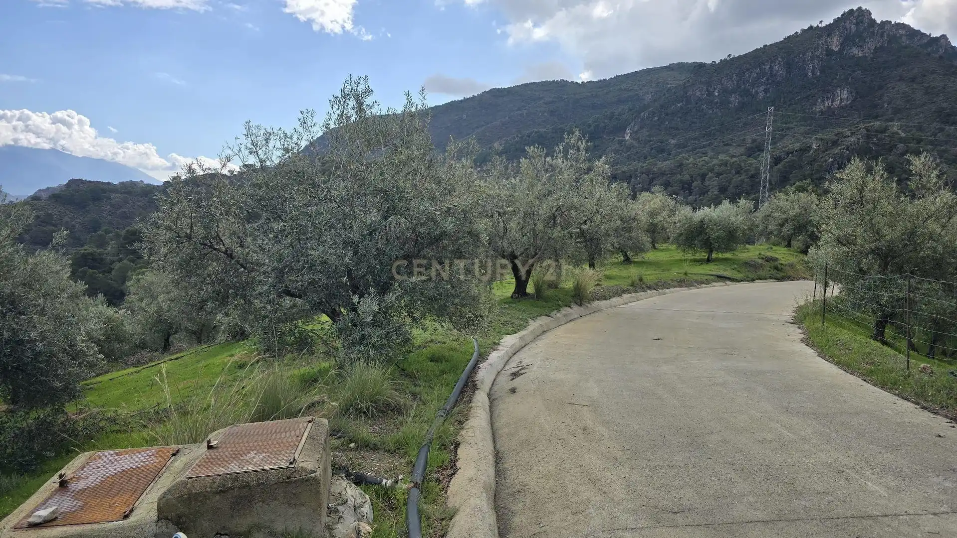Terreno rustico in vendita a Polígono 11 Parcela 96 EL CERRILLAR. LOS GUAJARES (GRANADA), imagen 6