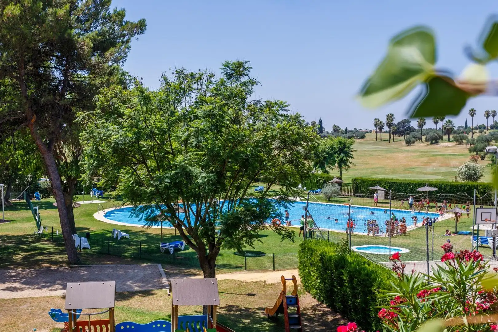 Piscina de Casa o xalet en venda en Bormujos amb Jardí privat, Terrassa i Piscina