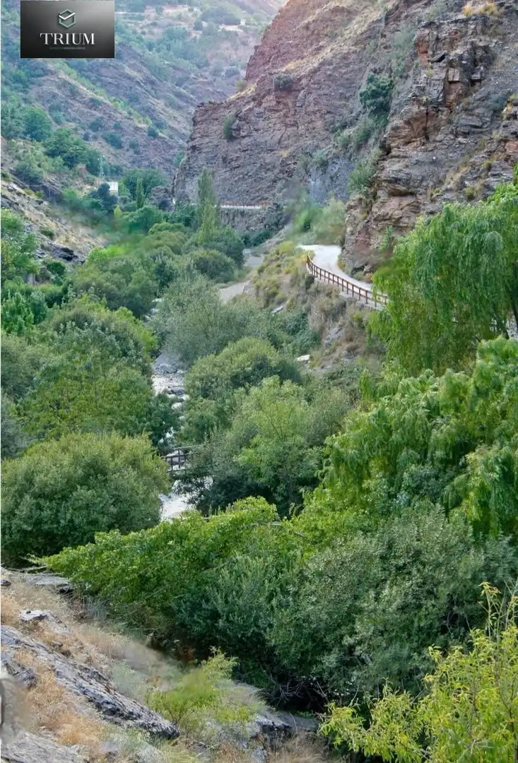 Lands and plots for sale in Güéjar Sierra, imagen 19