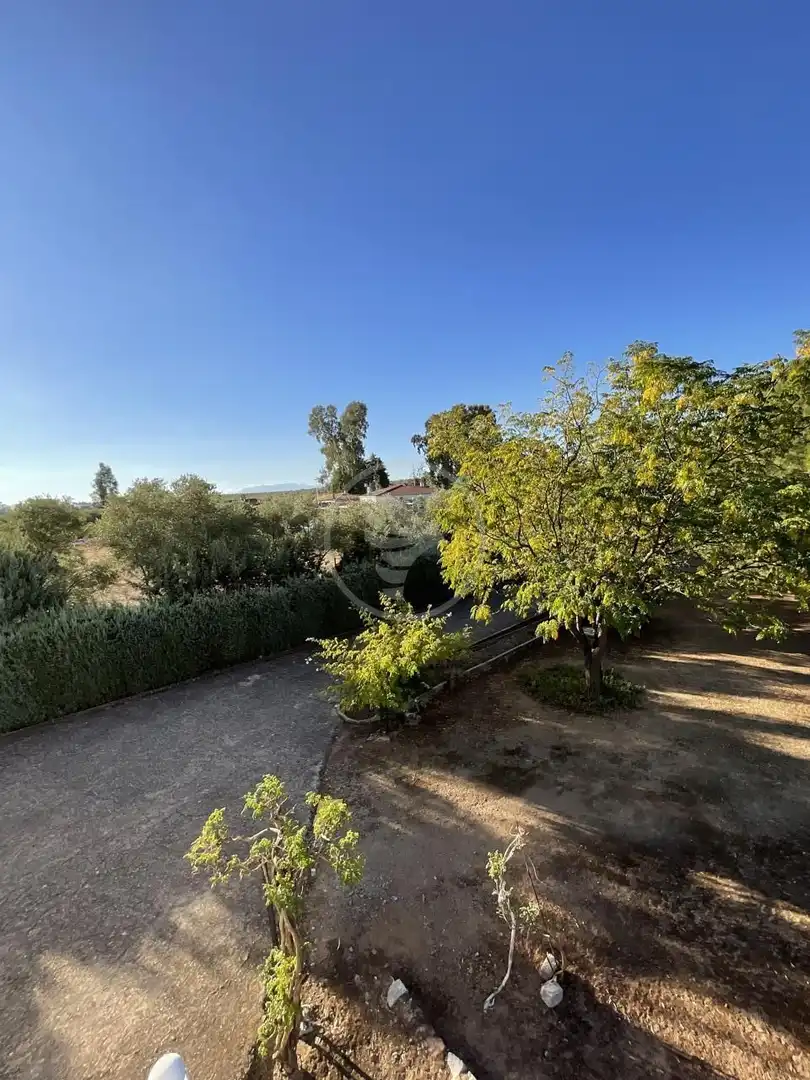 Jardín de Finca rústica en venta en Linares con Piscina