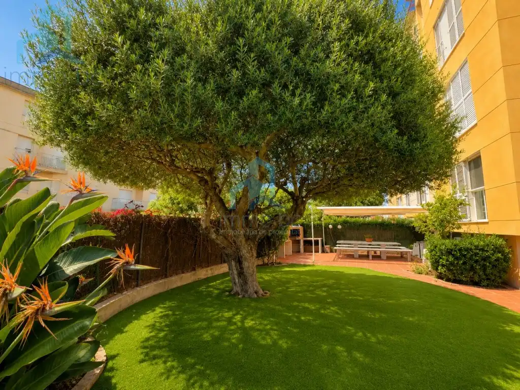 Garden of Ground floor for sale in Cambrils