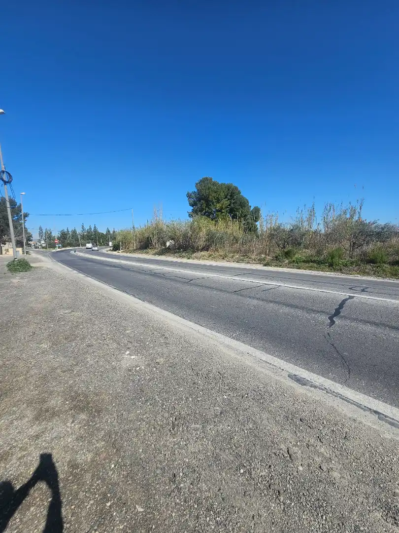 Terreny rústic en venda a MU-533 82, imagen 13