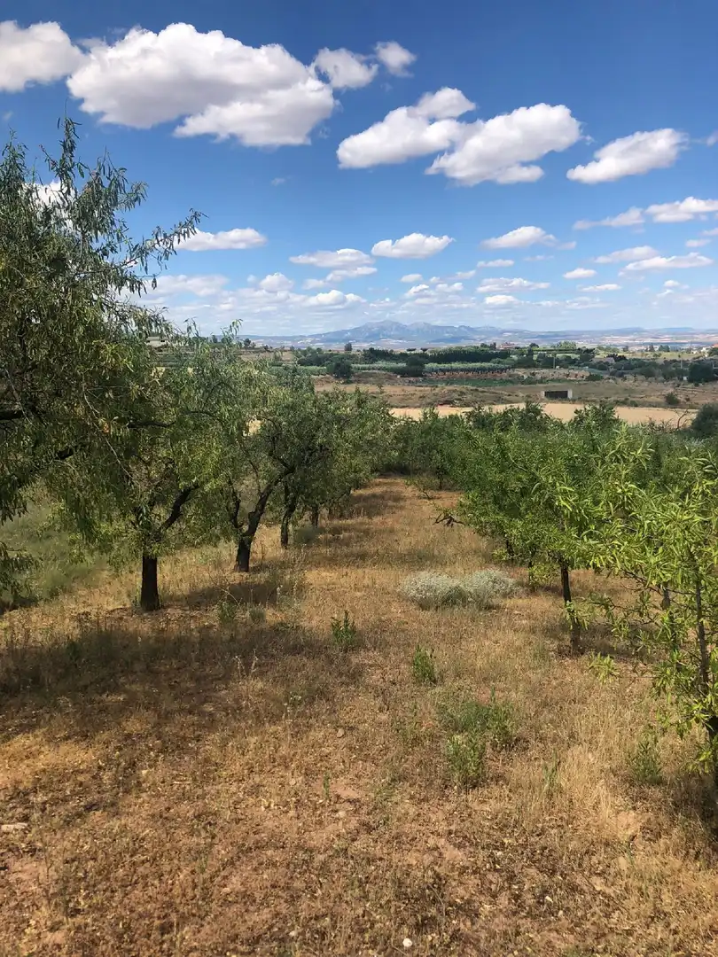 Rural land for sale in Lardero, imagen 2