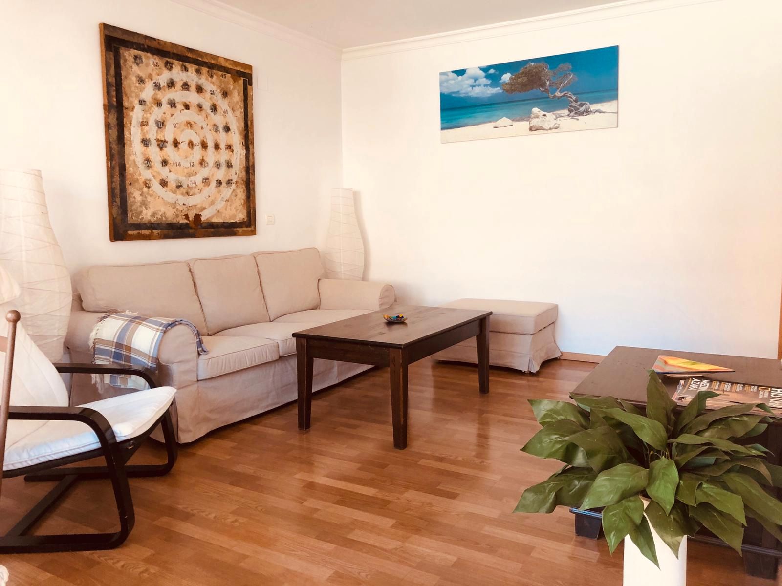 Living room of Flat to rent in Málaga Capital  with Air Conditioner, Parquet flooring and Terrace