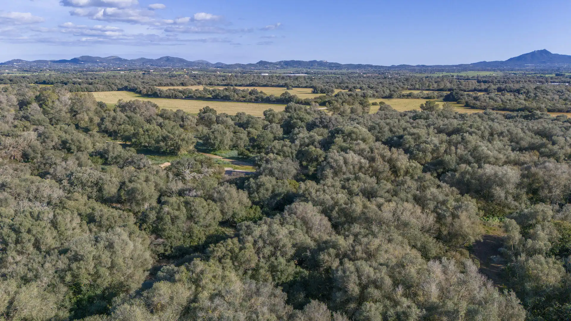 Finca rústica en venta en Vilafranca de Bonany con Terraza, Trastero y Balcón