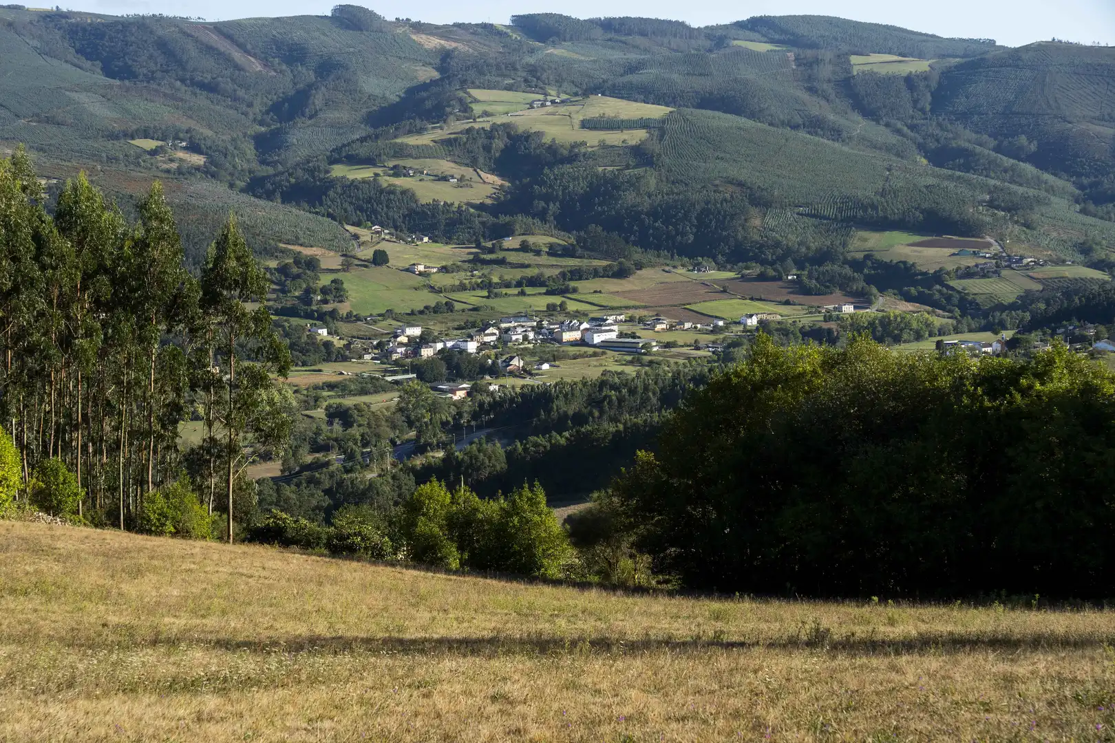 Vista exterior de Finca rústica en venta en San Tirso de Abres con Amueblado