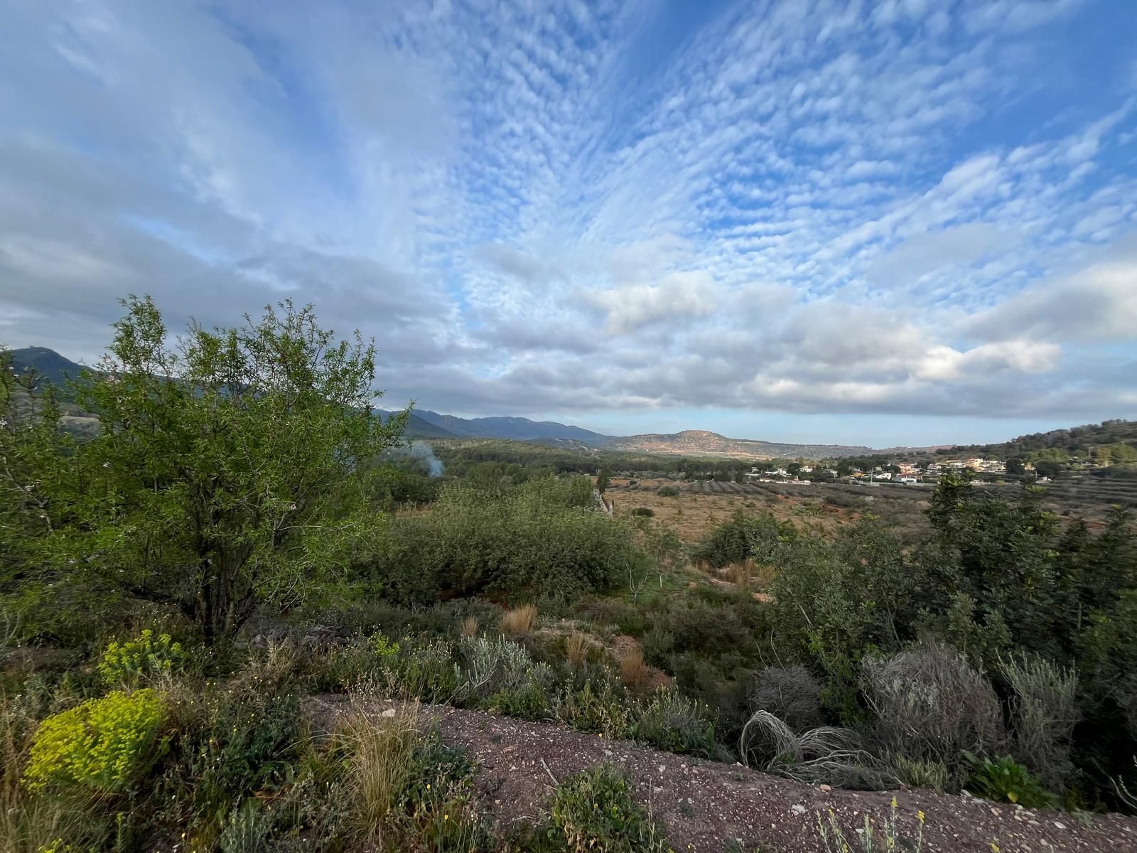 Land for sale in Estivella
