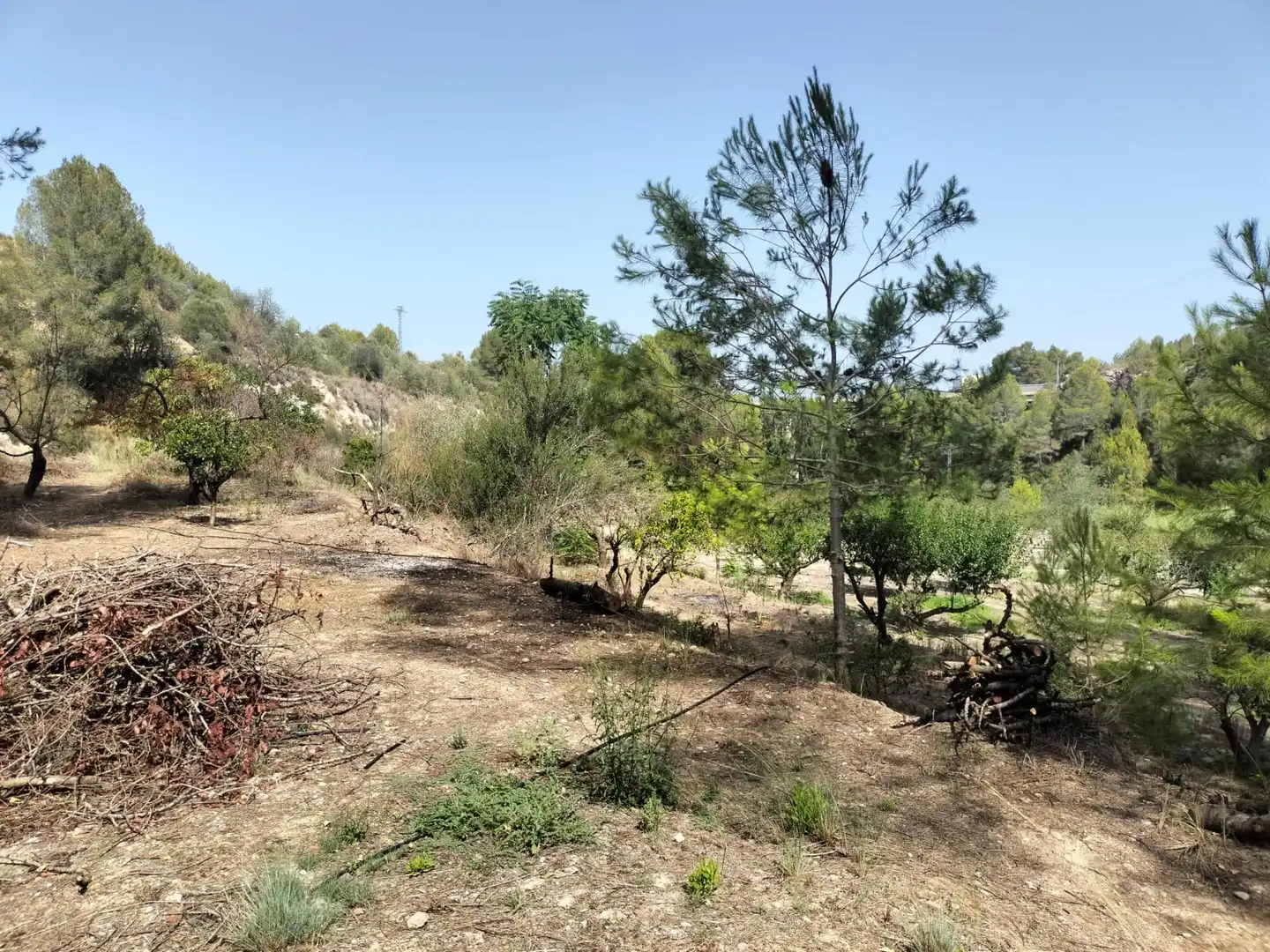Local en venta en L'Alcúdia de Crespins
