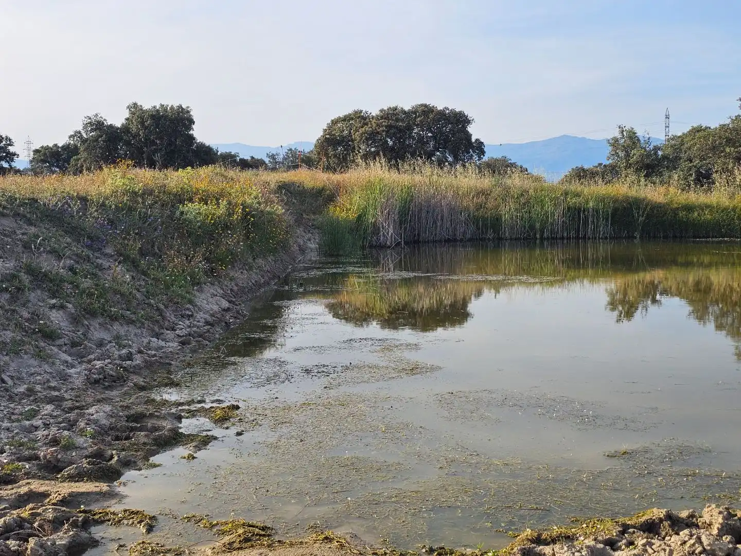 Terreno en venta en Navalmoral de la Mata