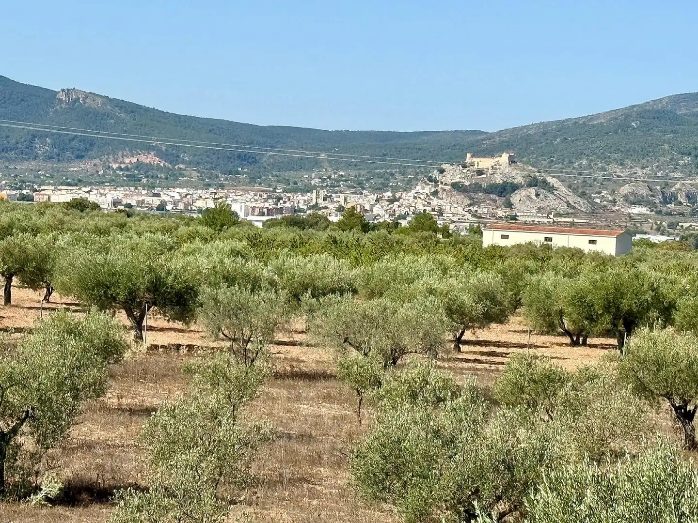 Maison à vendre à Onil, imagen 22