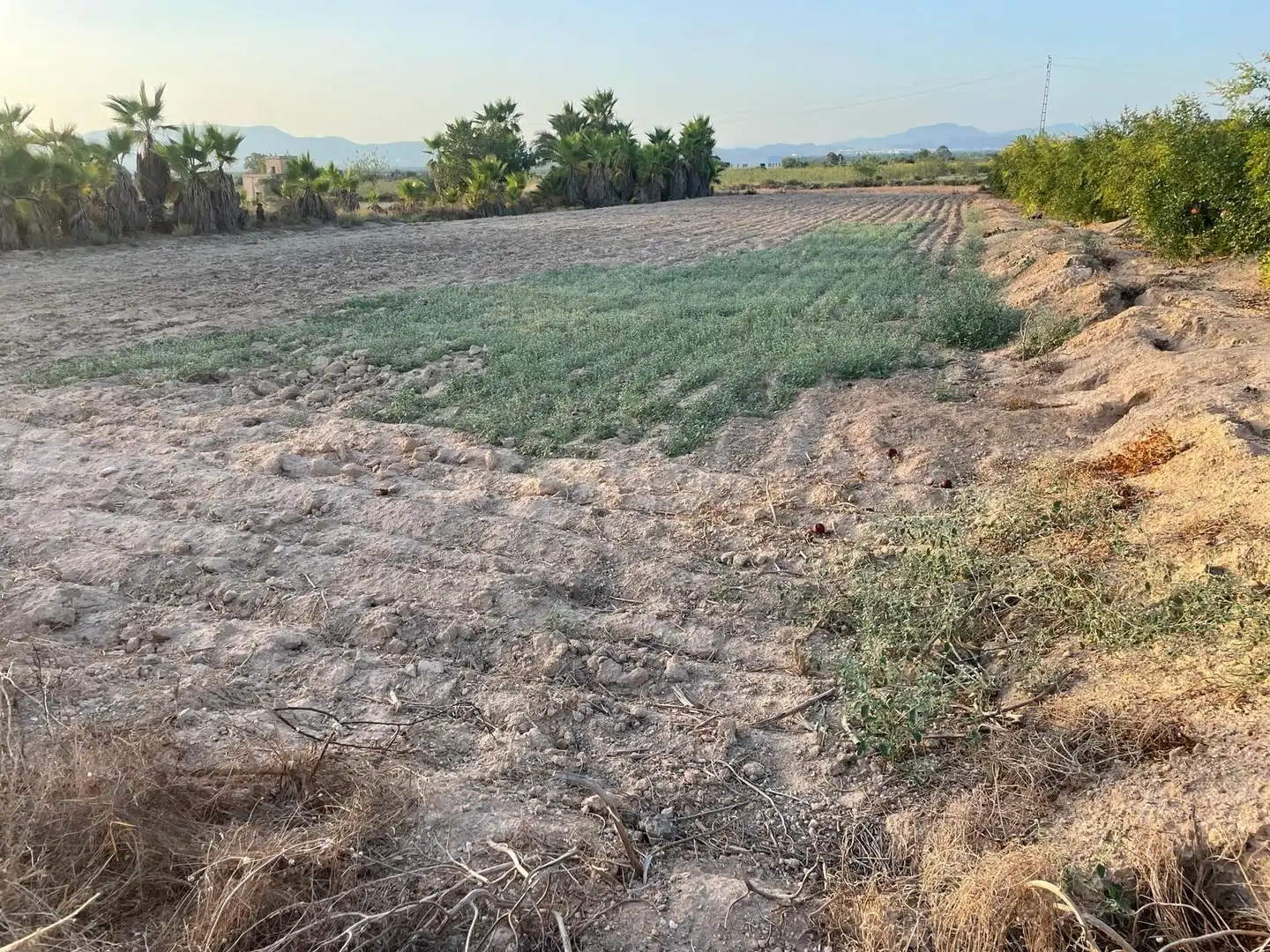 Terrain rustique à vendre à La Foia - Daimés - Asprella