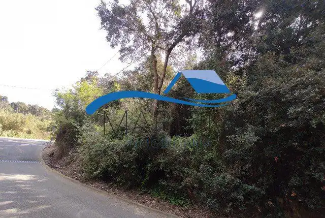 Lands and plots for sale in Romani, imagen 7