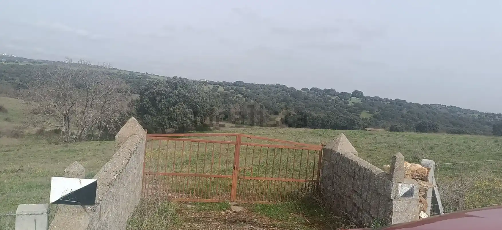 Land for sale in Guijo de Ávila