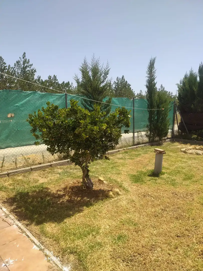 Finca rústica en venda a Carretera Don Rodrigo, 4, Pedanías Norte