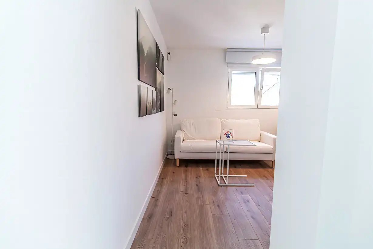 Living room of Flat for sale in Madrid  with Air Conditioner, Heating and Furnished
