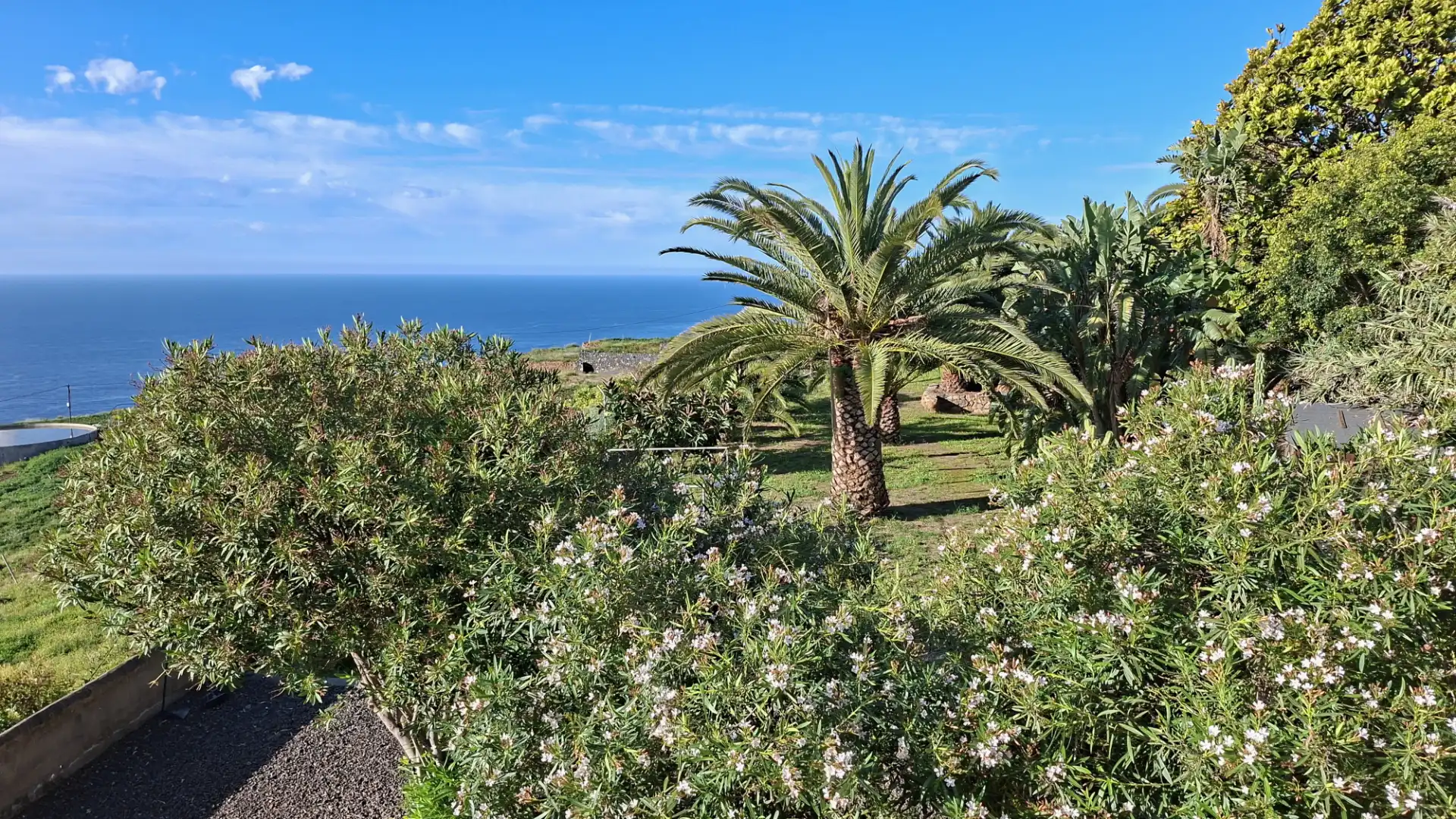 Jardín de Casa o chalet en venta en San Juan de la Rambla con Jardín privado, Parquet y Terraza