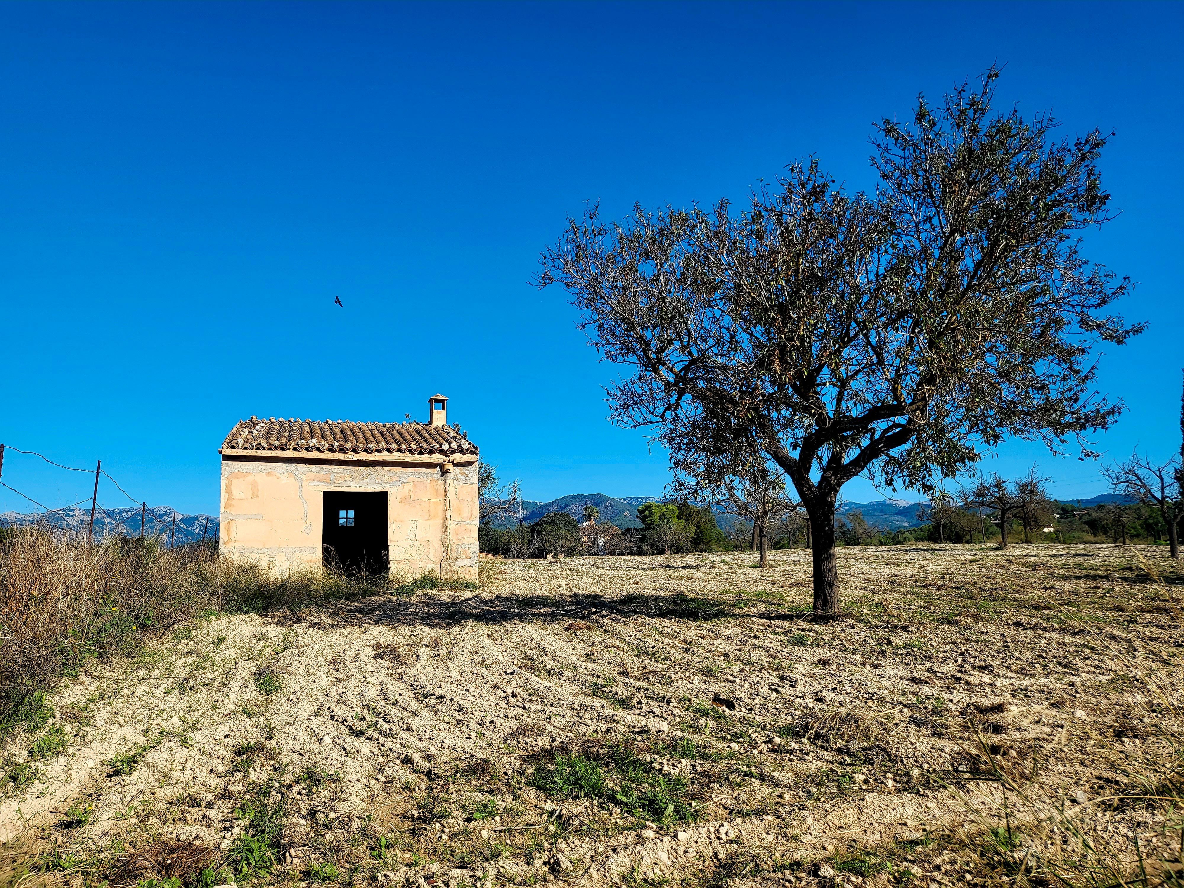 Land for sale in Marratxí