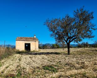 Land for sale in Marratxí