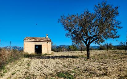 Terreny en venda en Marratxí