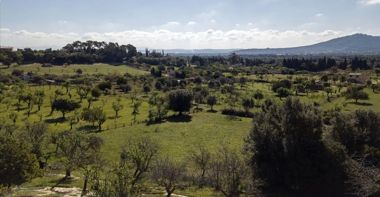 Terreni e lotti in vendita a Selva, imagen 28