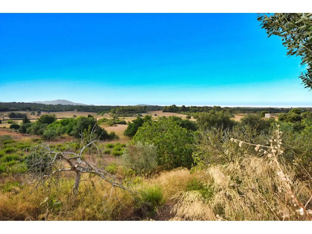 Finca rústica en venda en Santa Margalida amb Aire condicionat, Calefacció i Jardí privat