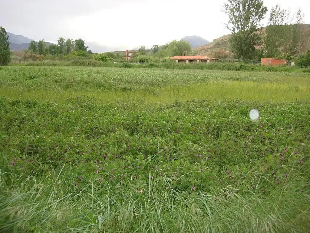 Terreno rústico en venta en Ribafrecha, imagen 8