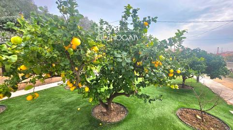 Foto 3 de Casa adosada en venda a Xop, Altafulla, Tarragona