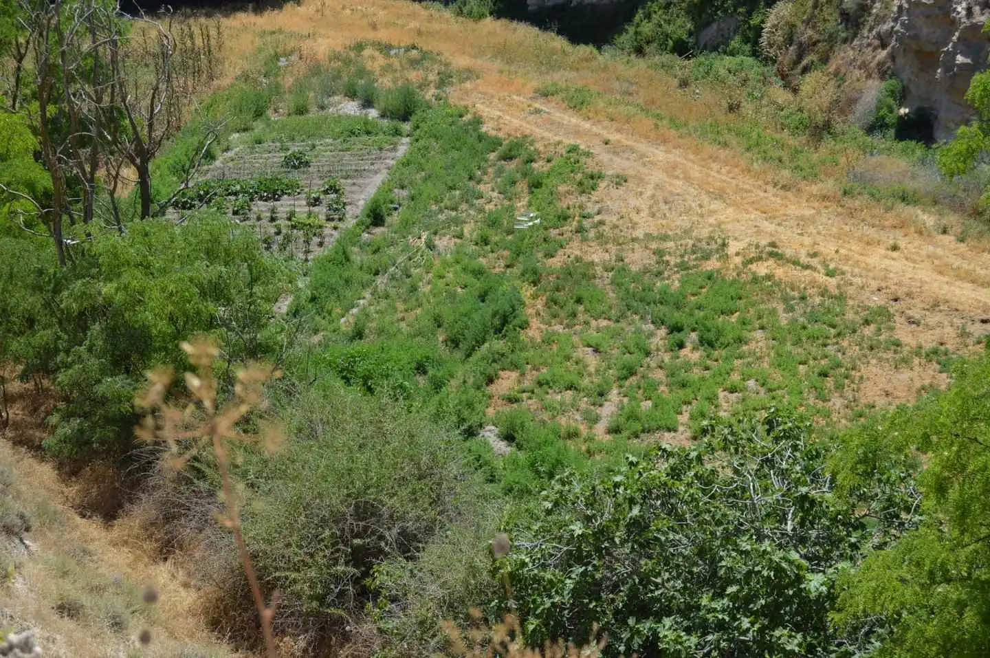 Jardín de Residencial en venta en Belinchón