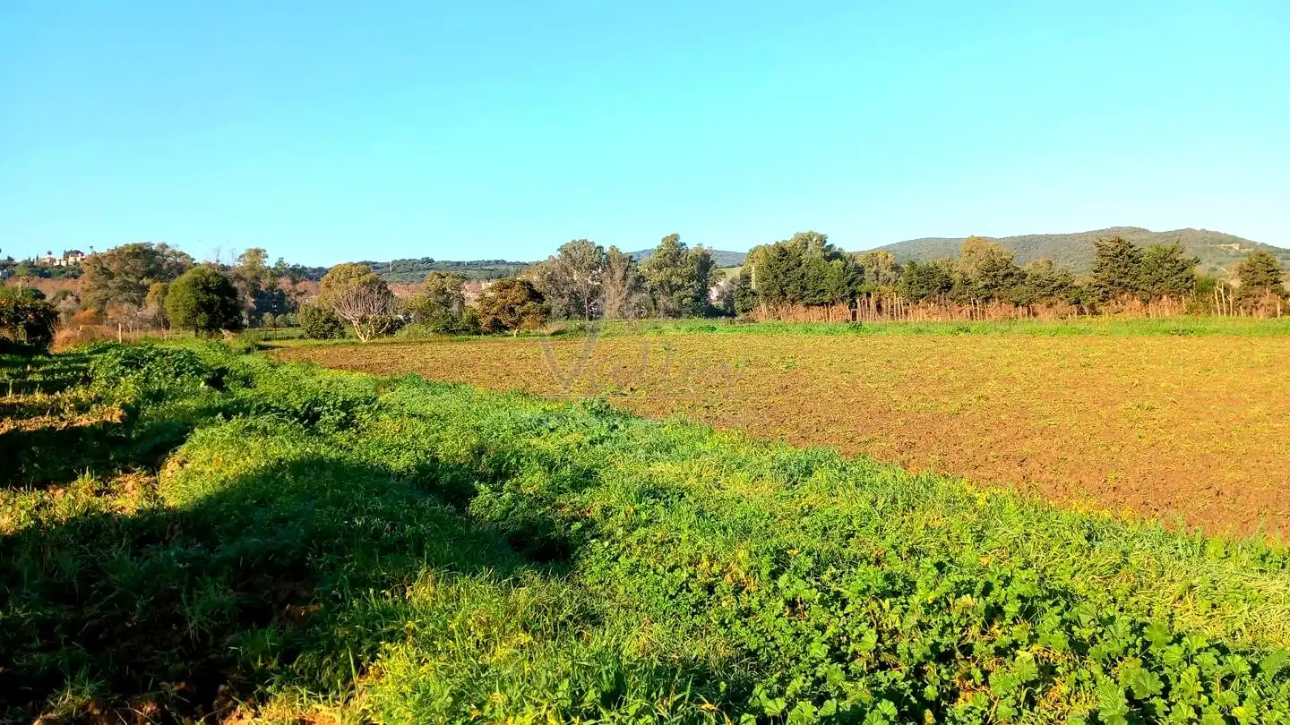 Terreni e lotti in vendita a San Enrique - Guadiaro -  Pueblo Nuevo, imagen 5