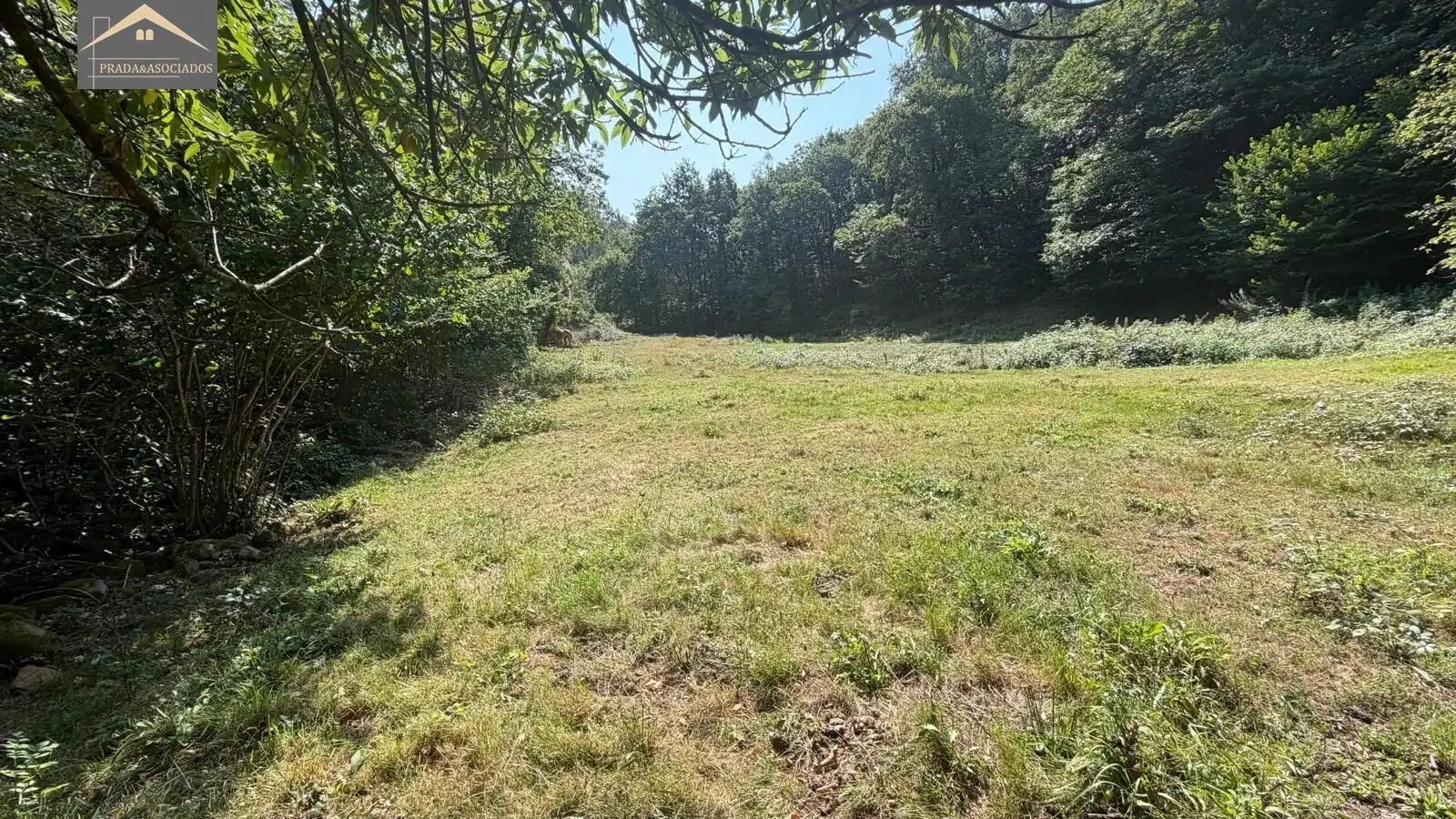 Residential land for sale in Ruente, imagen 11