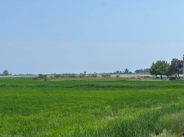 Landhaus zum Verkauf in Nord