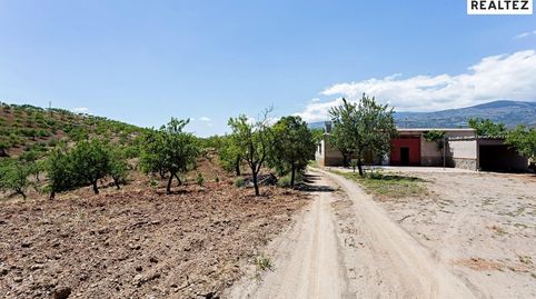 Foto 3 de Finca rústica en venta en Cádiar, Granada