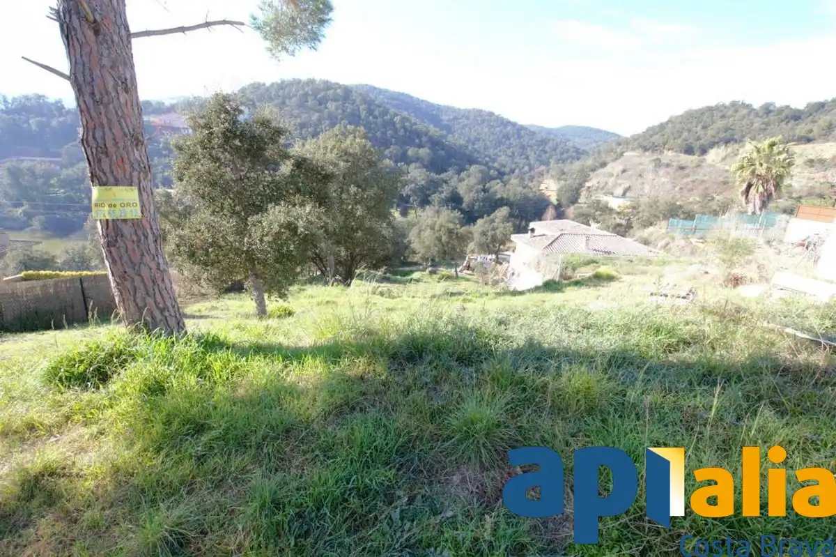 Residential land for sale in Carrer Avet 26, imagen 7