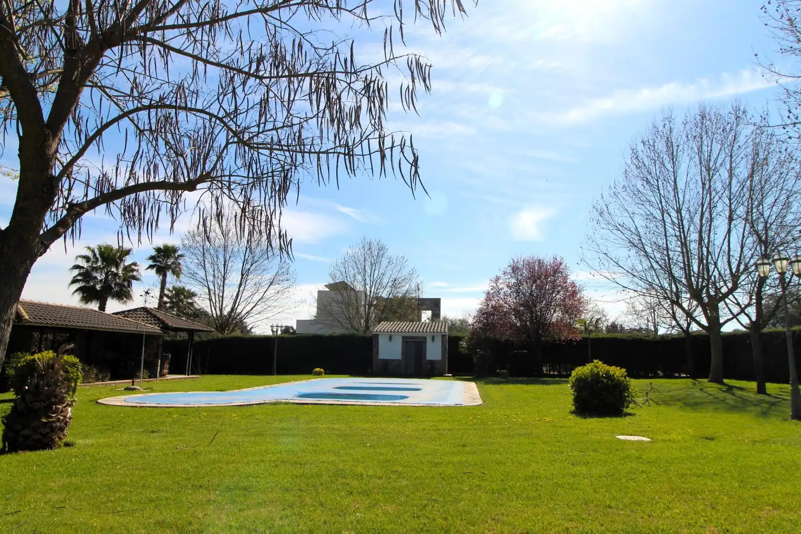 Casa con piscina en venta en Carretera de Sevilla - Los Montitos, imagen 59