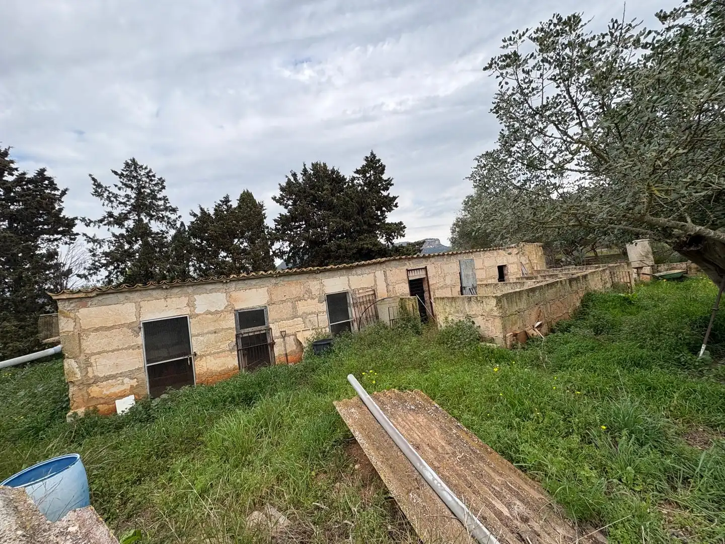 Landhaus mit Garten zum Verkauf in Carretera Llucmajor, imagen 17