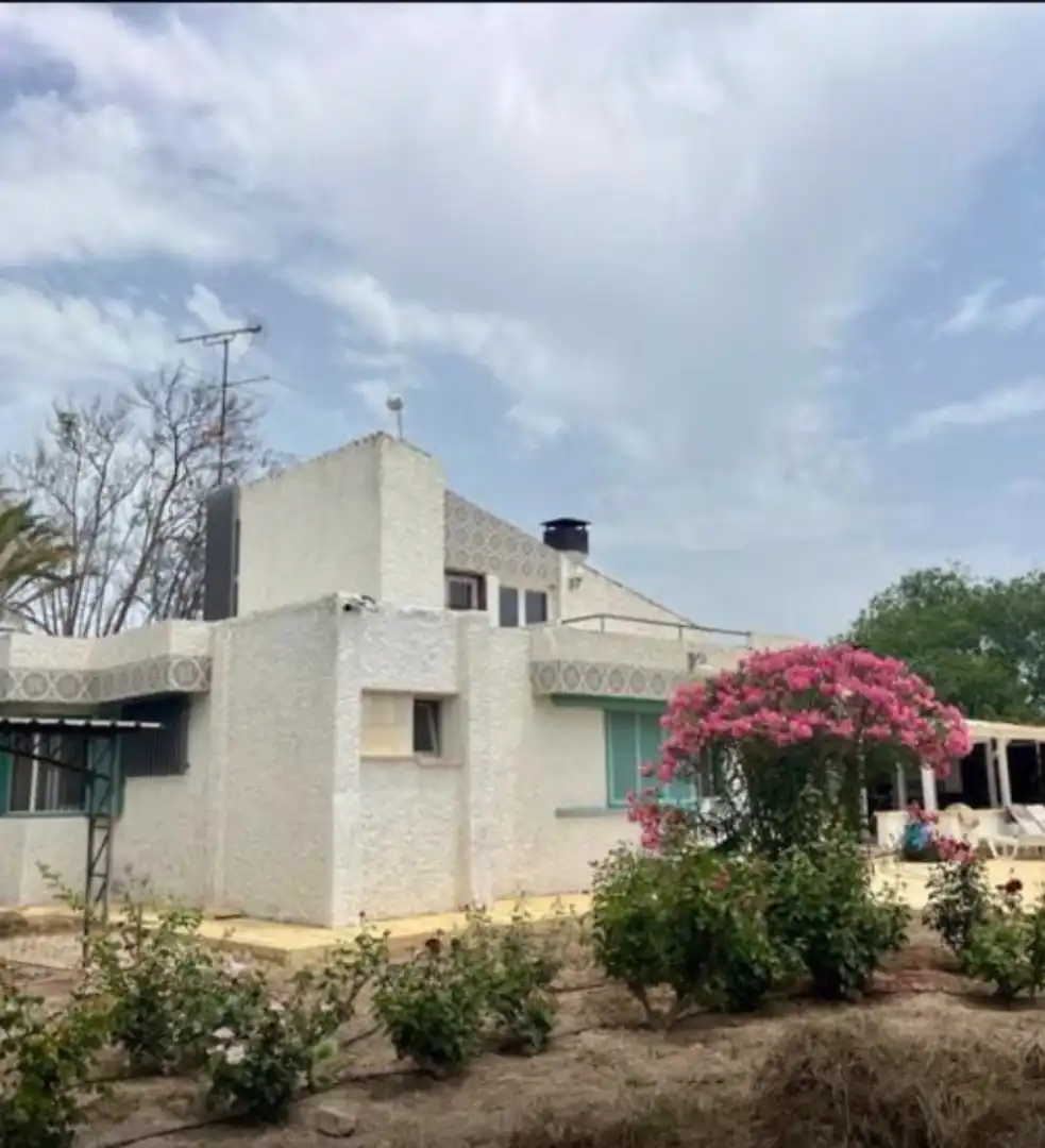 Vista exterior de Casa o chalet en venta en Elche / Elx con Aire acondicionado, Jardín privado y Terraza