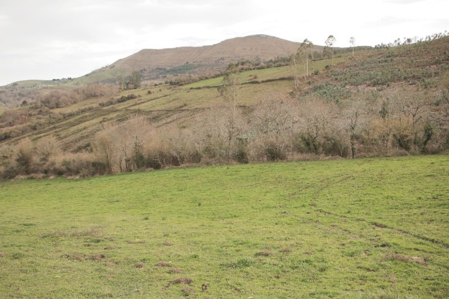 Residencial en venda en San Vicente de la Barquera