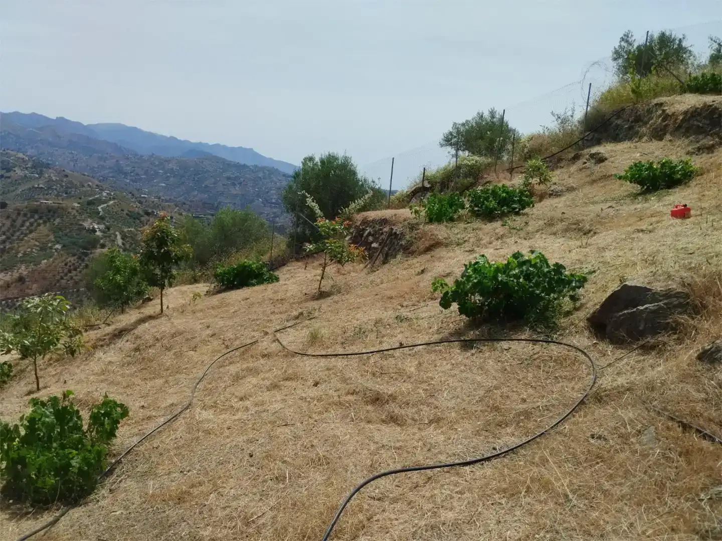 Terreno en venta en Arenas