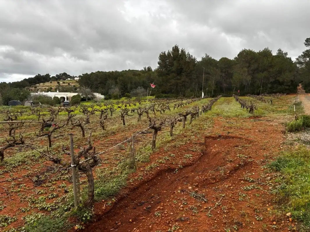 Land for sale in Sant Joan de Labritja