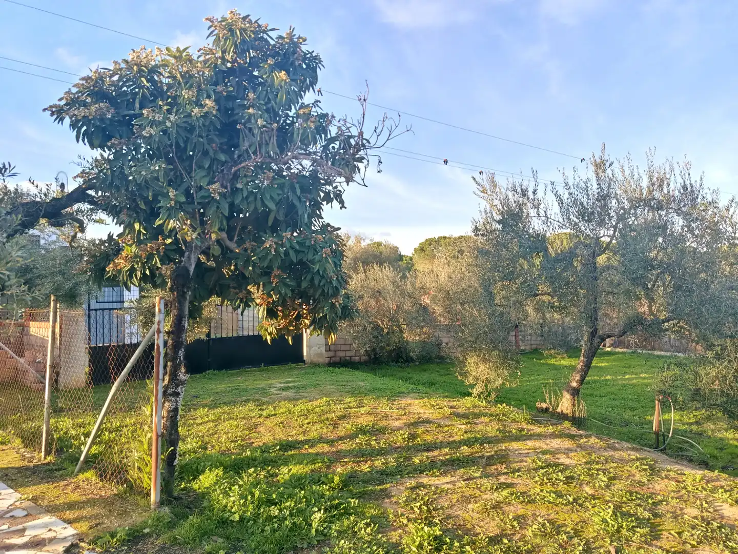 Garten von Country house zum Verkauf in Hinojos mit Privatgarten, Terrasse und Schwimmbad