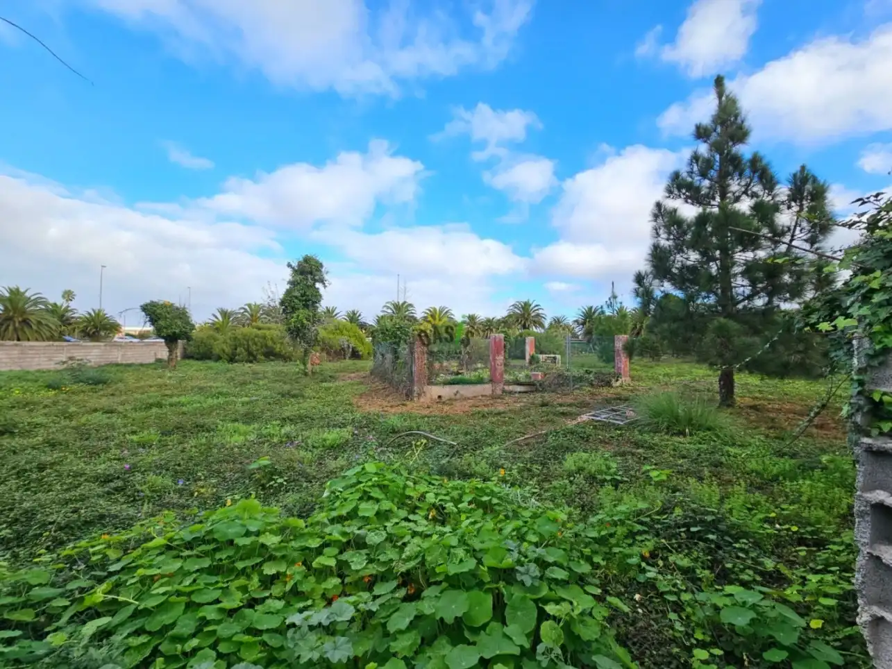 Houses for sale in San Cristóbal de la Laguna  with Storage room