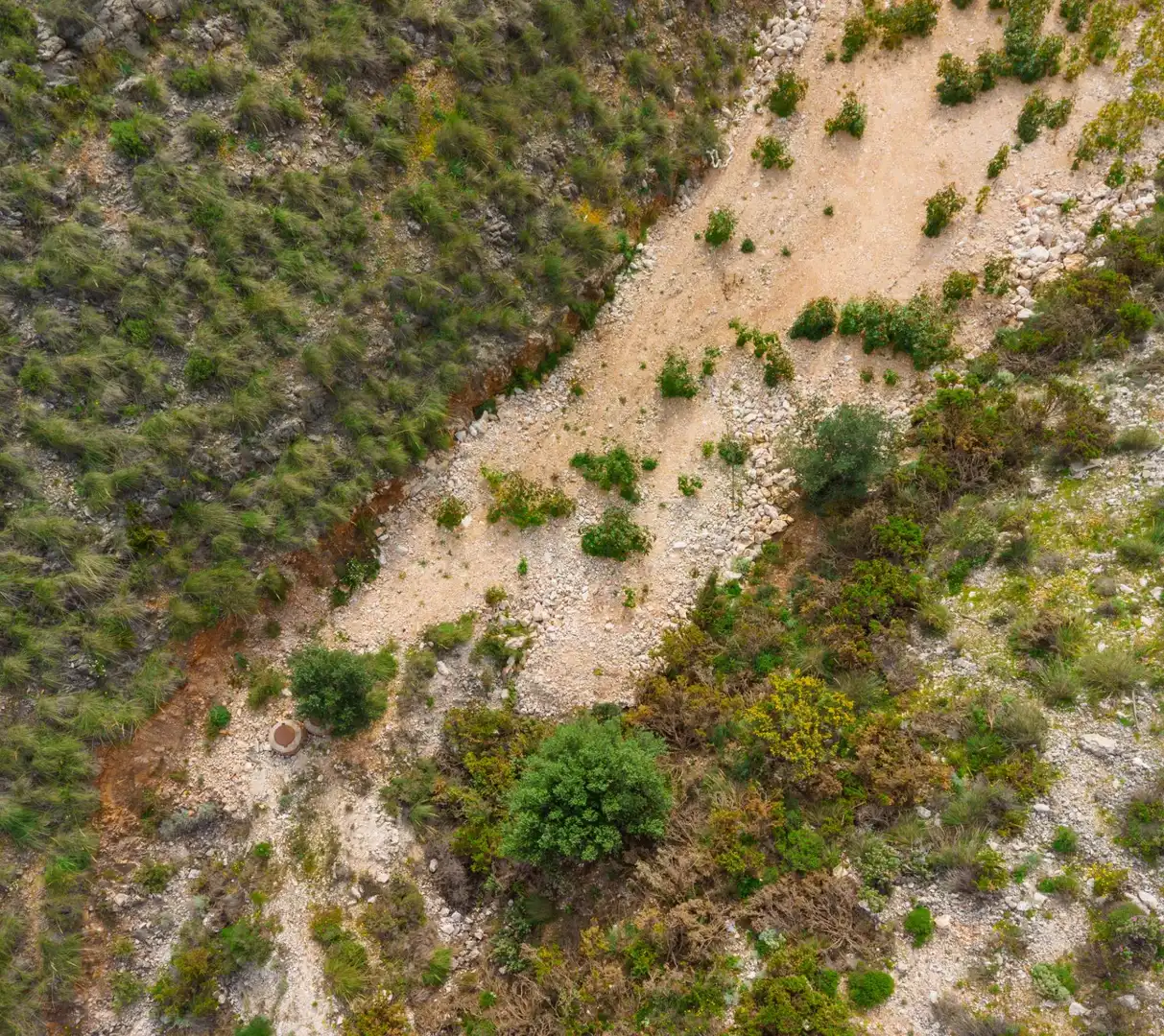 Terreni e lotti in vendita a Santangelo, imagen 6