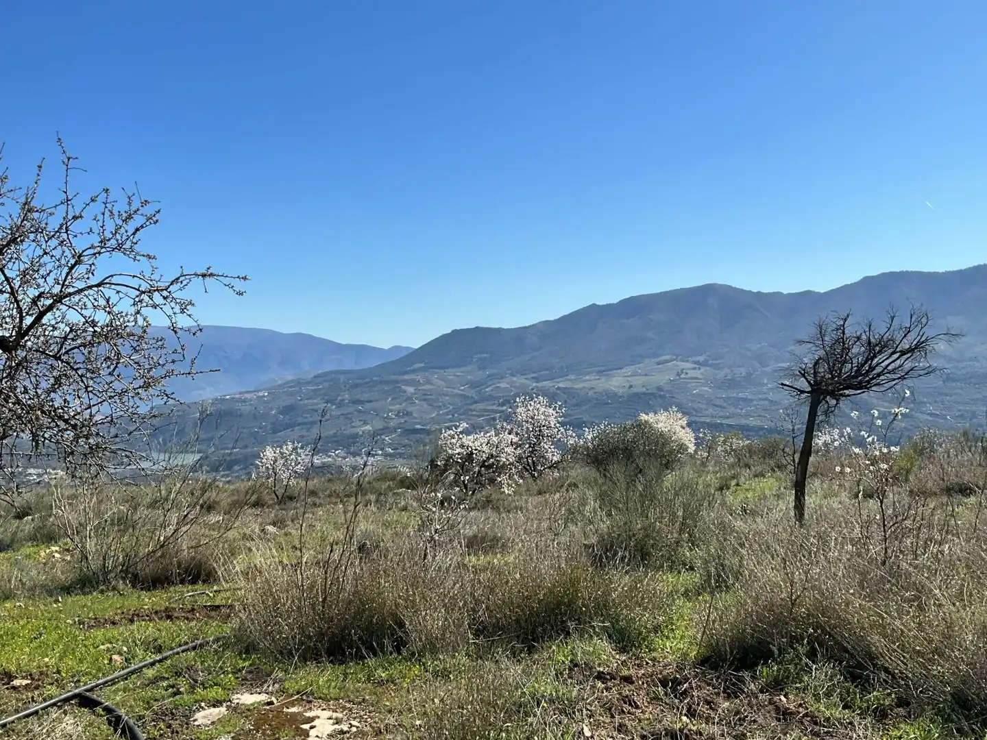 Terreni e lotti in vendita a El marchal, El valle, imagen 14