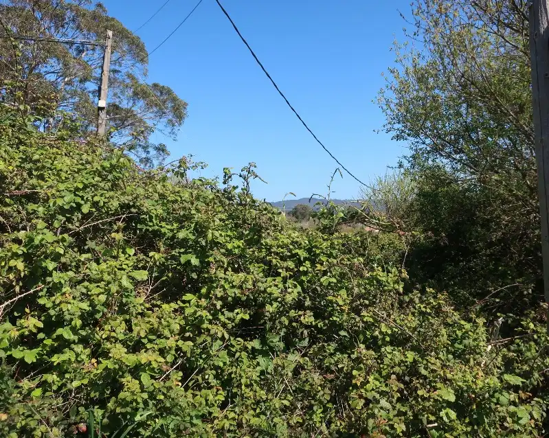 Xalet en venda a Errepidea Nagusia, imagen 6