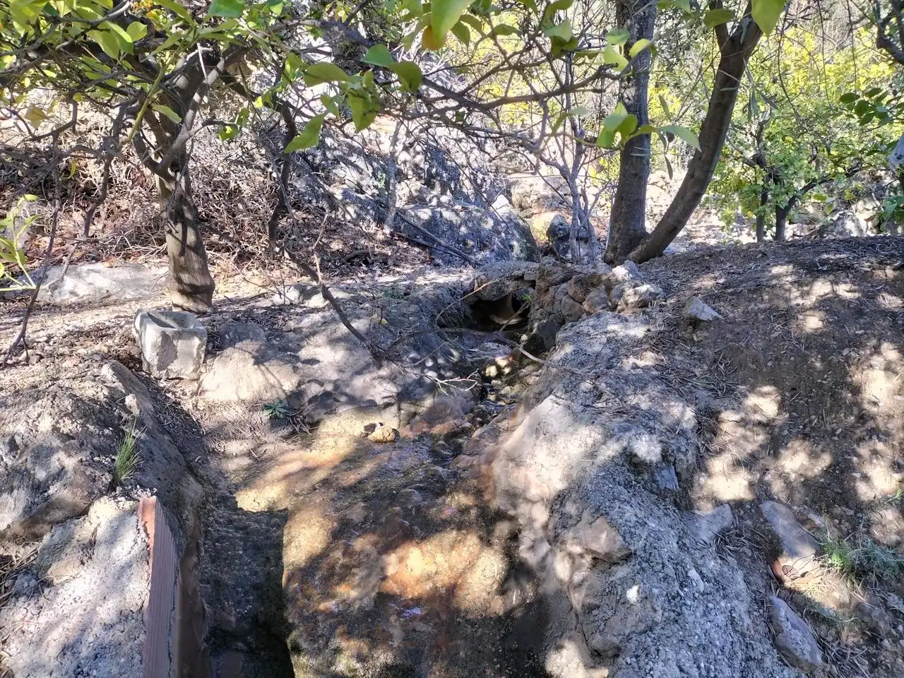 Finca rústica en venda en El Pinar